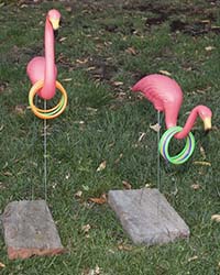 Flamingo Toss $25